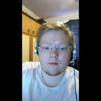 GingerCub