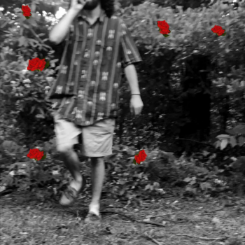 RHCP98
