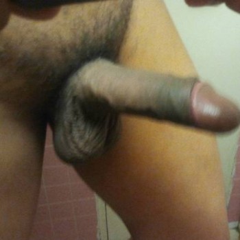 pajaroloco1975