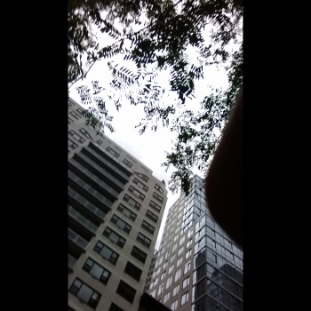 Royalpanther77