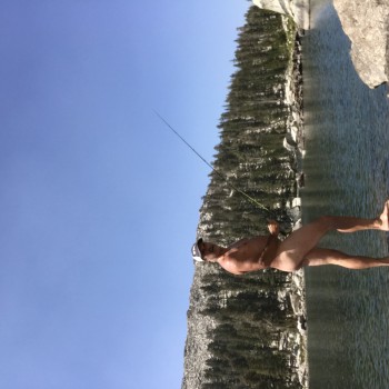 Vincegamo