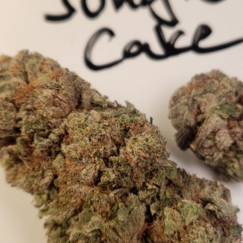 Daveberns420