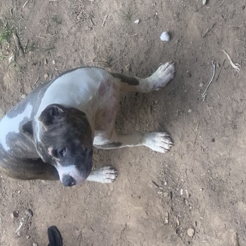 cedhobbs57@gmail.com